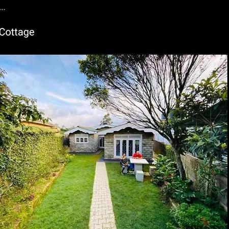 Aerizo Tours & Bungalow-2